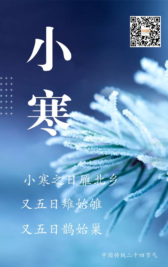 藍色簡約小寒節(jié)氣模板下載