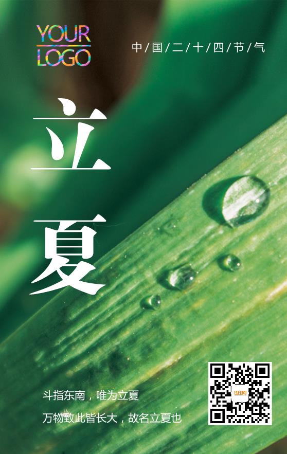 綠色實景簡約立夏二十四節(jié)氣海報模板下載