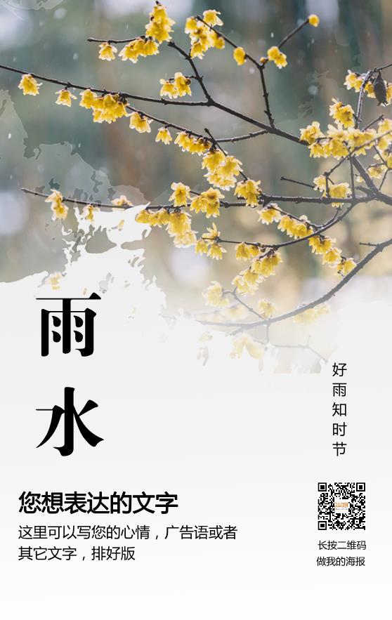 實景簡約大氣雨水節(jié)氣海報模板下載